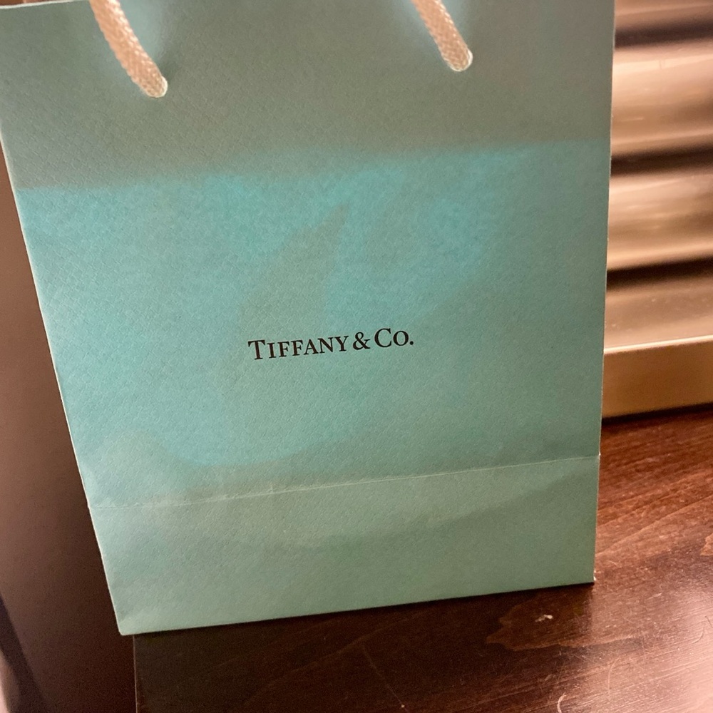 Tiffany & Co. Blue Gift Bag